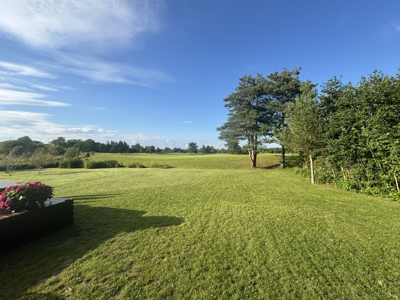 Nature Nearby Green Field Villa in Saaremaa